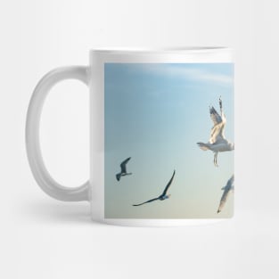 Larus californicus 2 Mug